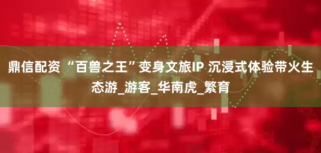 鼎信配资 “百兽之王”变身文旅IP 沉浸式体验带火生态游_游客_华南虎_繁育