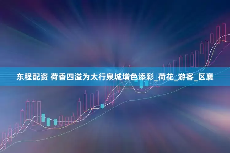 东程配资 荷香四溢为太行泉城增色添彩_荷花_游客_区襄
