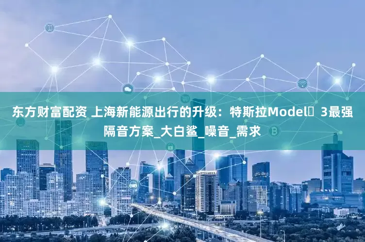 东方财富配资 上海新能源出行的升级：特斯拉Model 3最强隔音方案_大白鲨_噪音_需求