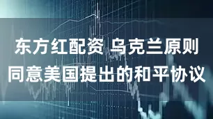 东方红配资 乌克兰原则同意美国提出的和平协议